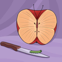 ilk önce hangisini görüyorsunuz?