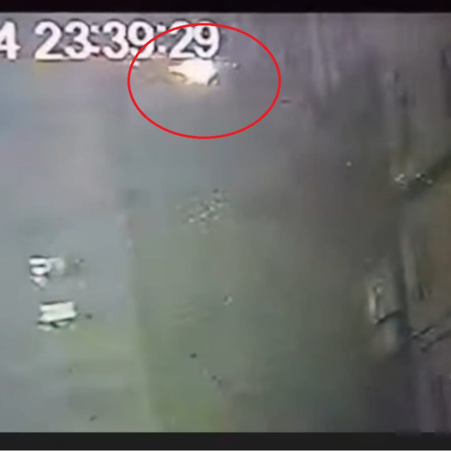 Merak konusu oldu! Diyarbakır'da kaydedildi!