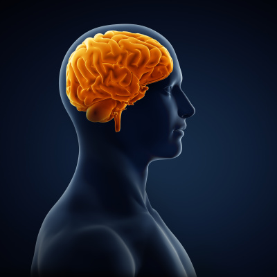 Çocuklukta görülen şiddet, beyni ve davranışı değiştiriyor!