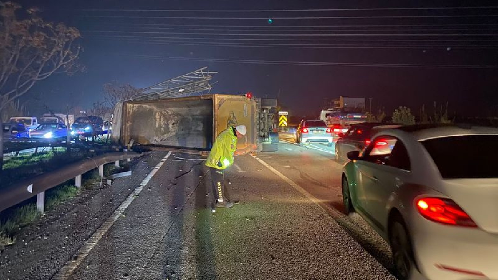 Malatya'da milyonluk yarış tayları çiftlikten kaçtı; 8'i öldü, bazıları kayıp