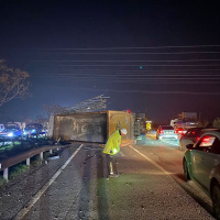 Milyonluk atlar çiftlikten kaçtı