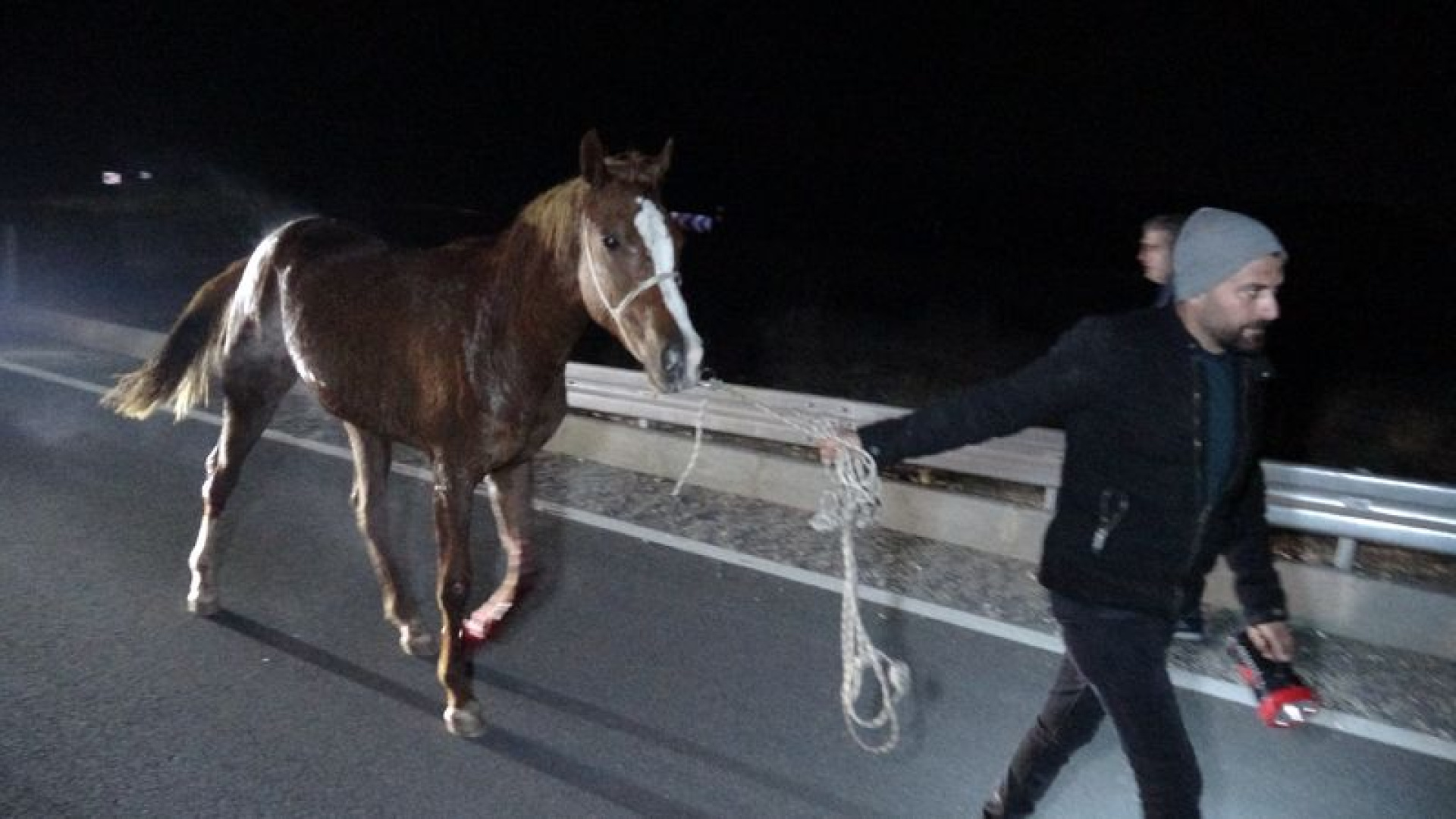Malatya haberleri: Valilikten açıklama! Kaçan safk…