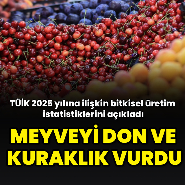 2025 yılında bitkisel üretim geriledi, meyvede sert düşüş yaşandı