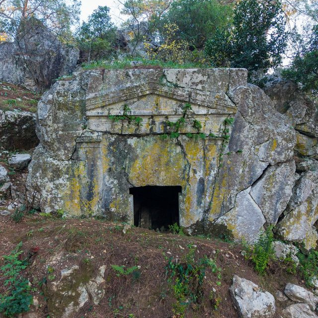 Korumaya alındı... Marmaris'te tek!