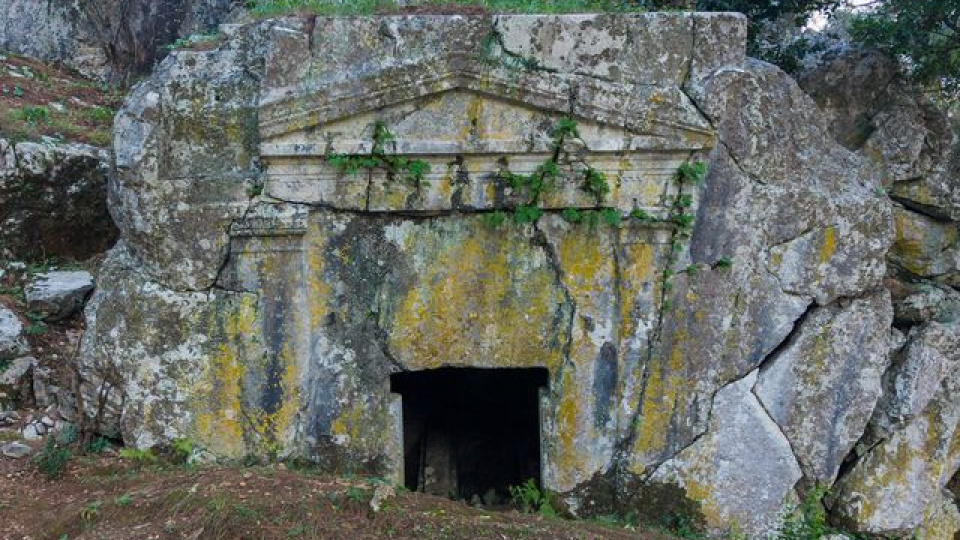 Korumaya alındı... Marmaris'te tek!