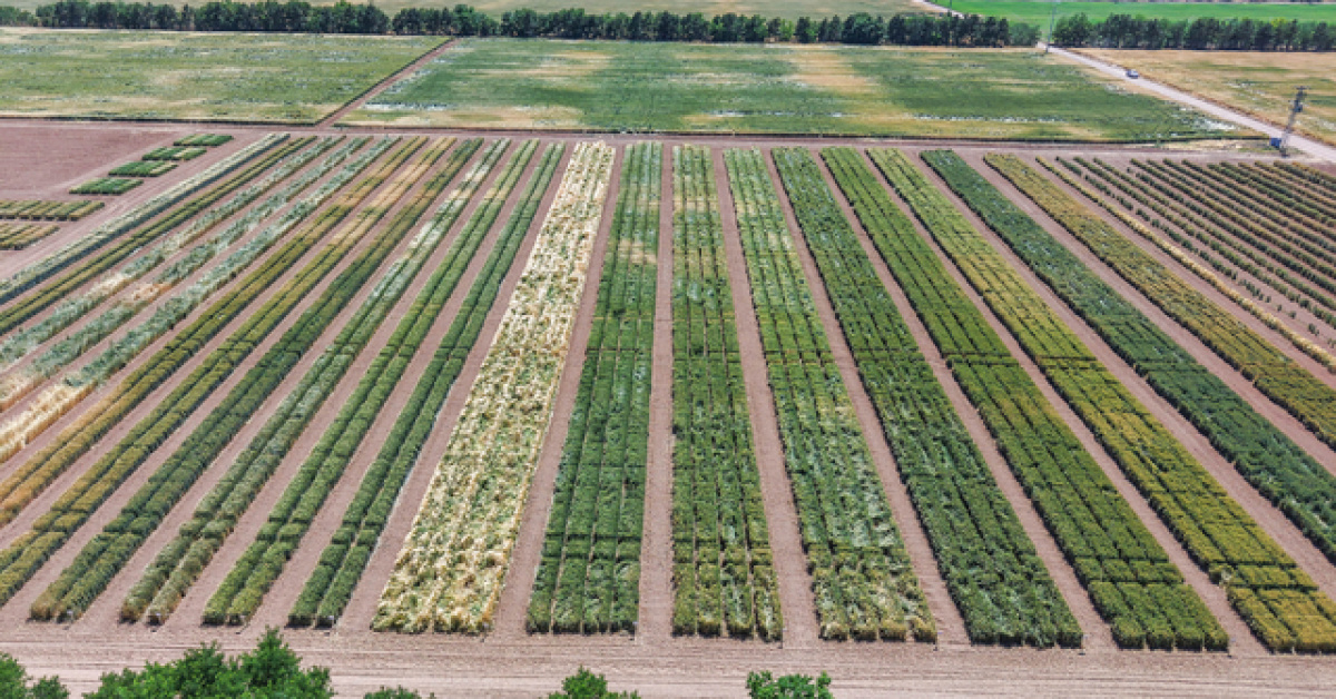 Tarım İşletmeleri Genel Müdürlüğü 254 Sürekli İşçi Alacak