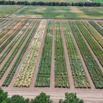 TİGEM işçi alımı yapacak!