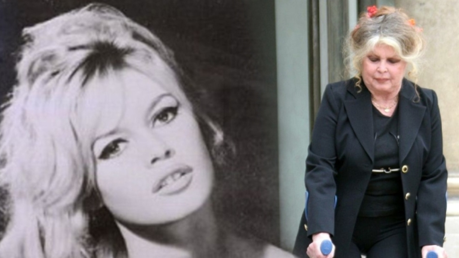 Fransız sinema yıldızı Brigitte Bardot hayatını kaybetti