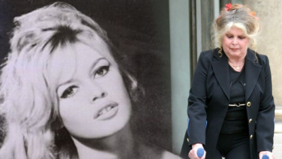 Brigitte Bardot hayatını kaybetti