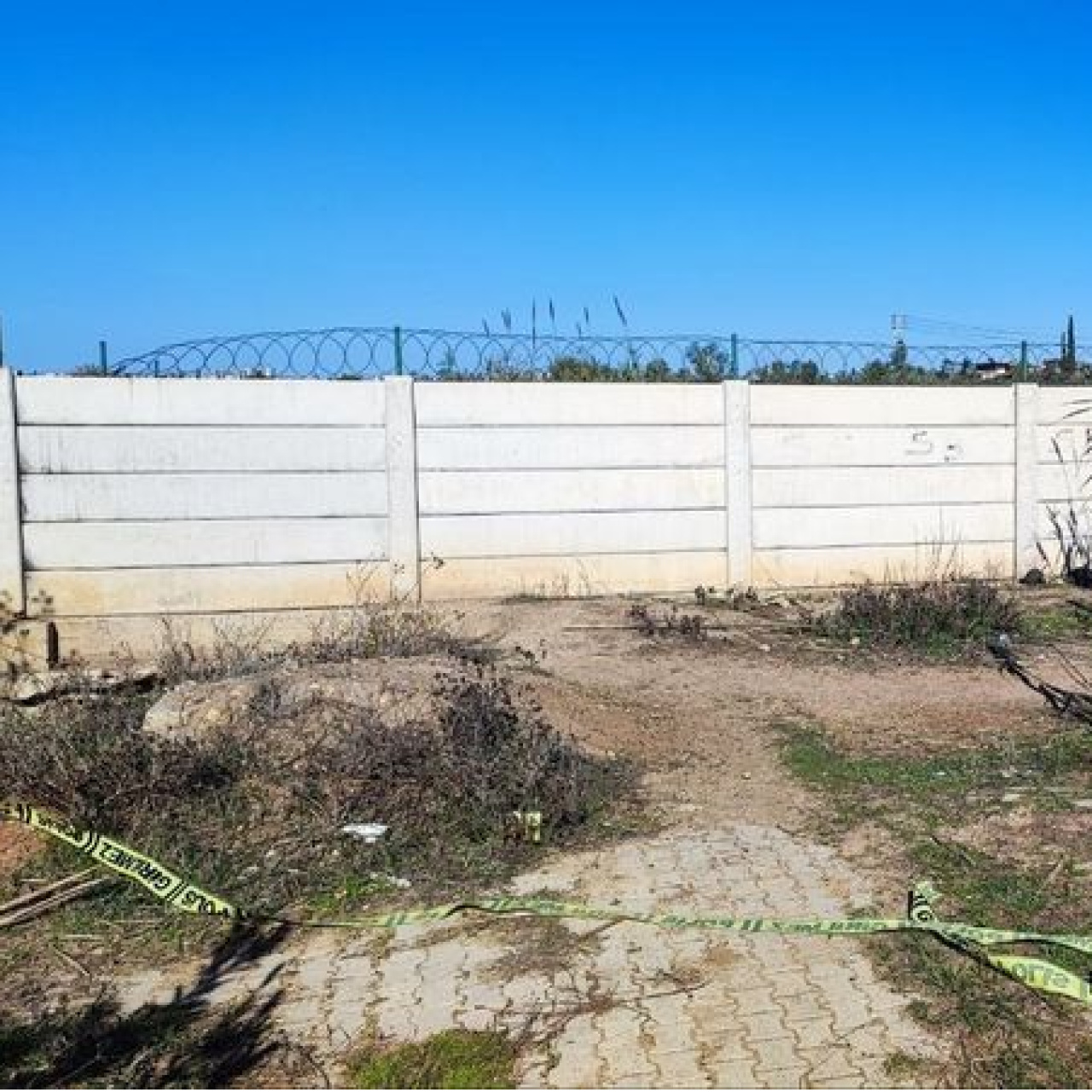 Yaşlı kadın yol kenarında ölü bulundu