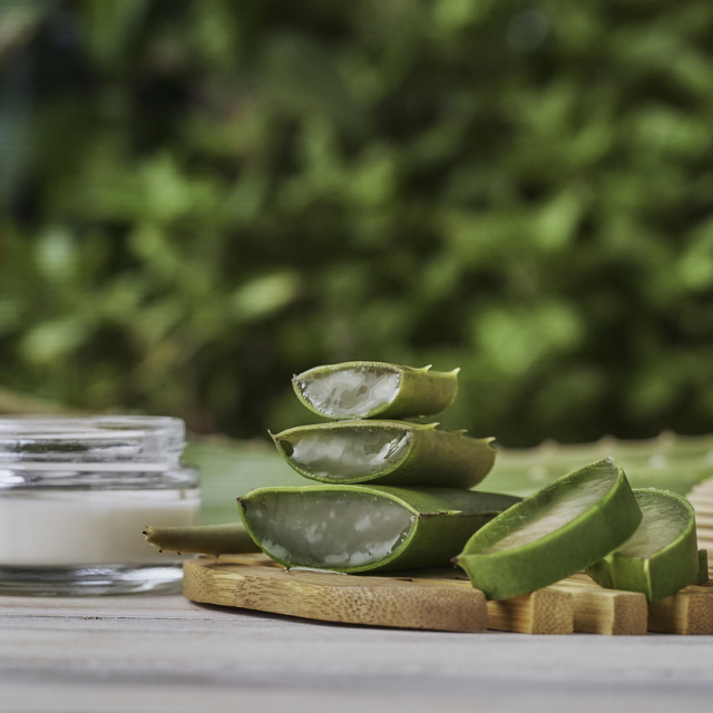 Cilt bakım ürününüzü evde "yetiştirmek" mümkün mü?