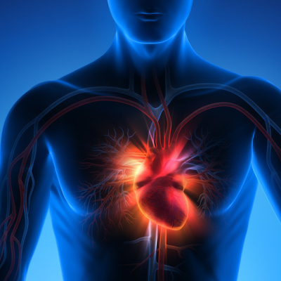 Düzenli kontrol kalp krizi riskini azaltıyor