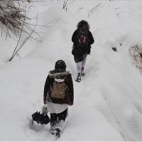 Bugün okullar tatil mi?
