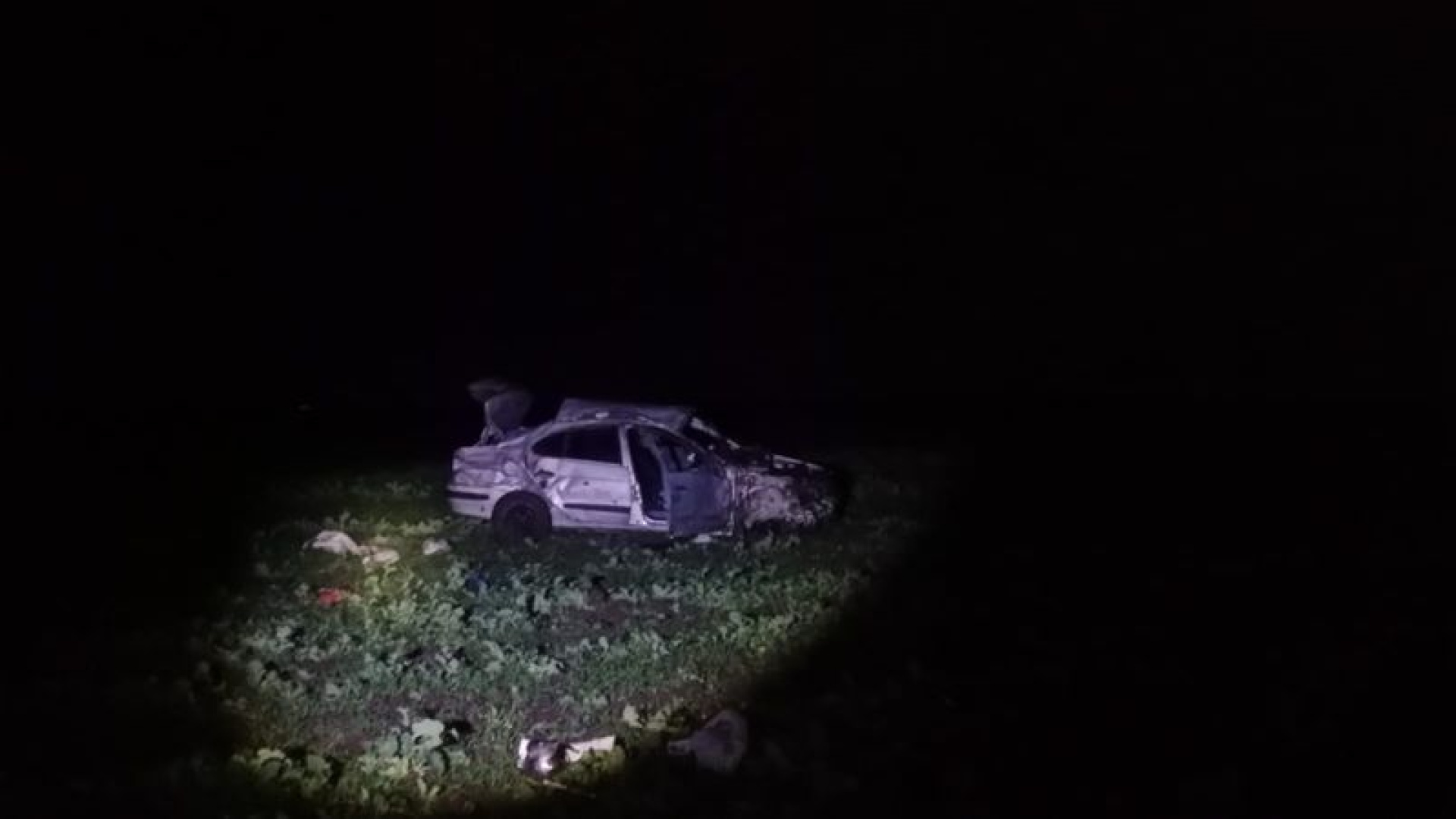 Son dakika: Bandırma'da otomobil domuza çarpıp takla attı: 1 ölü, 1 yaralı | Son dakika haberleri