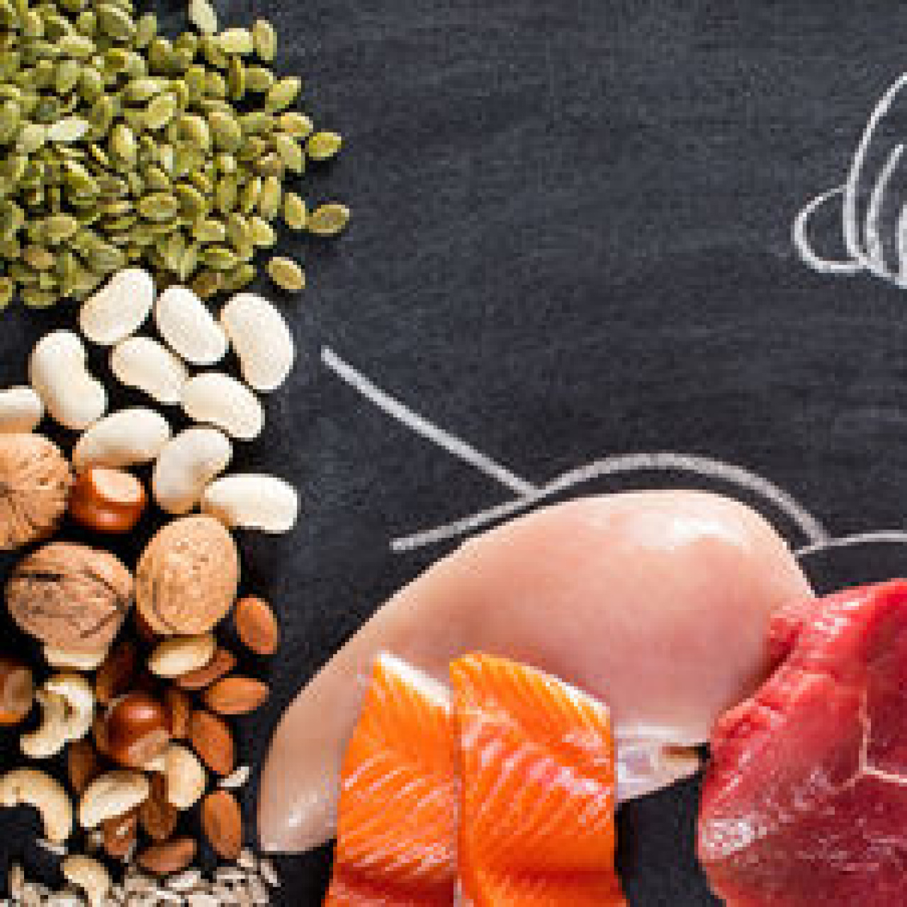 Holozoik beslenme nedir?