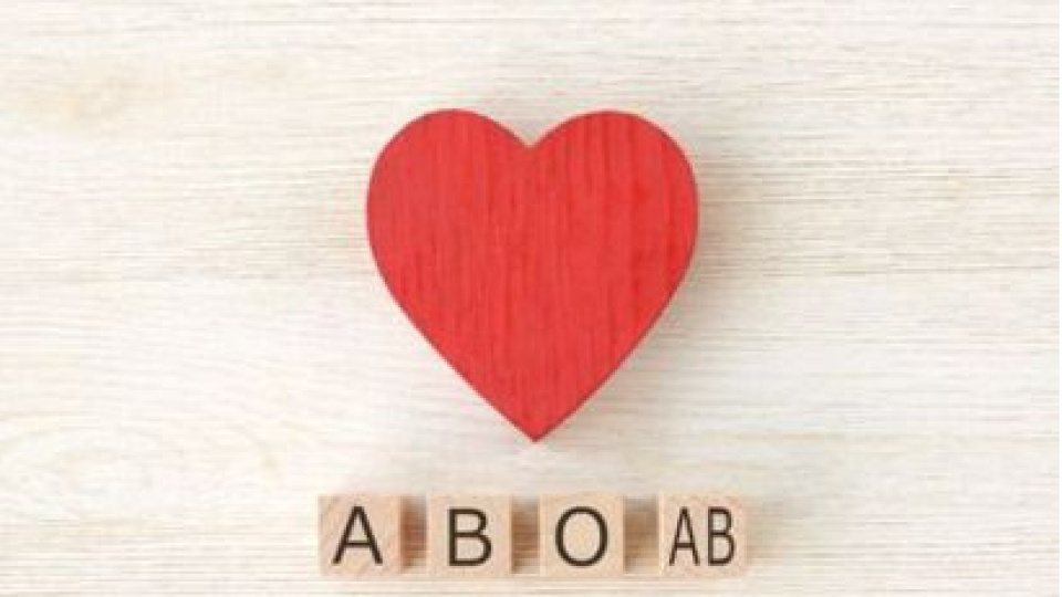 Kan grubuna göre beslenme nedir?