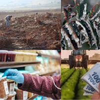 Tarımda 2025 nasıl geçti?