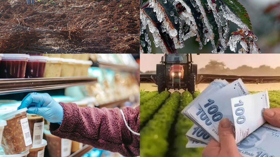 Tarımda 2025 nasıl geçti?