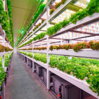 Ergofarm ile 4D-Bios’tan iş birliği anlaşması