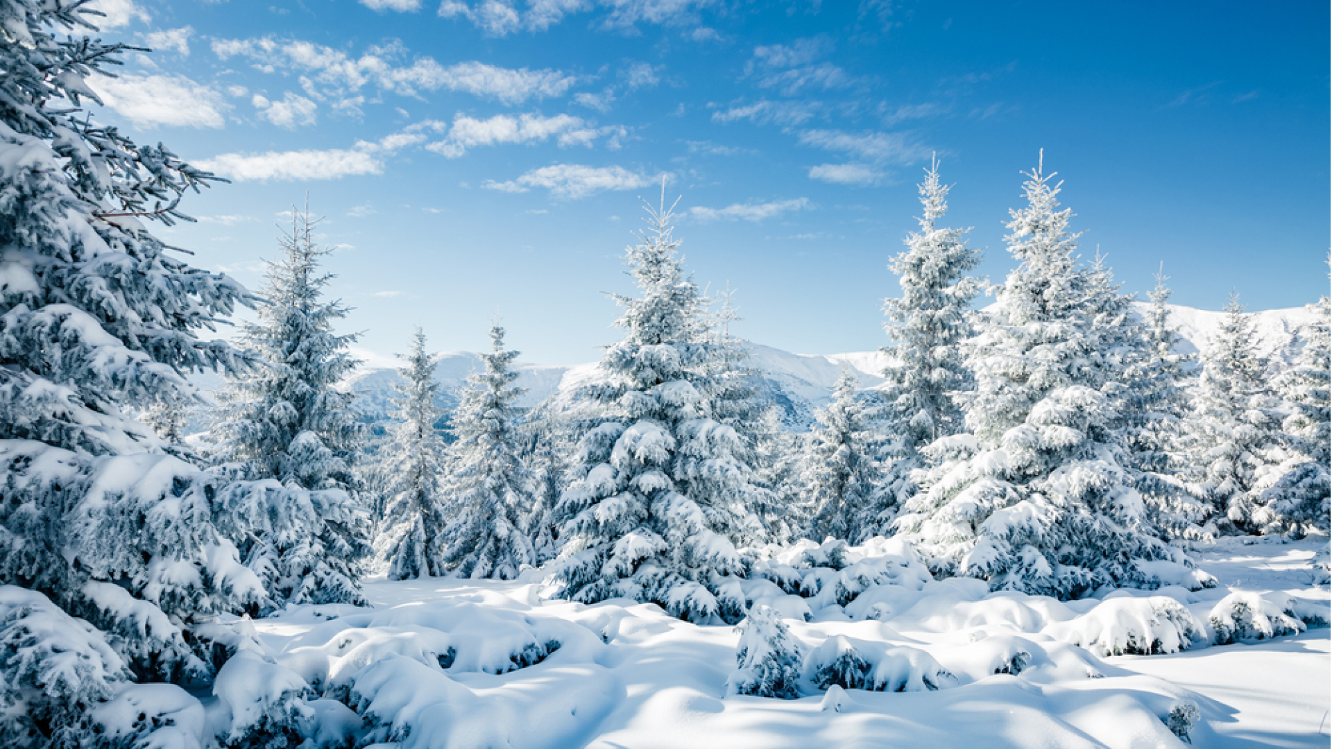 Yılbaşında hava nasıl olacak? 31 Aralık 2025 - 1 Ocak 2026 İstanbul, Ankara, İzmir ve ülke genelinde hava nasıl olacak, kar yağacak mı?