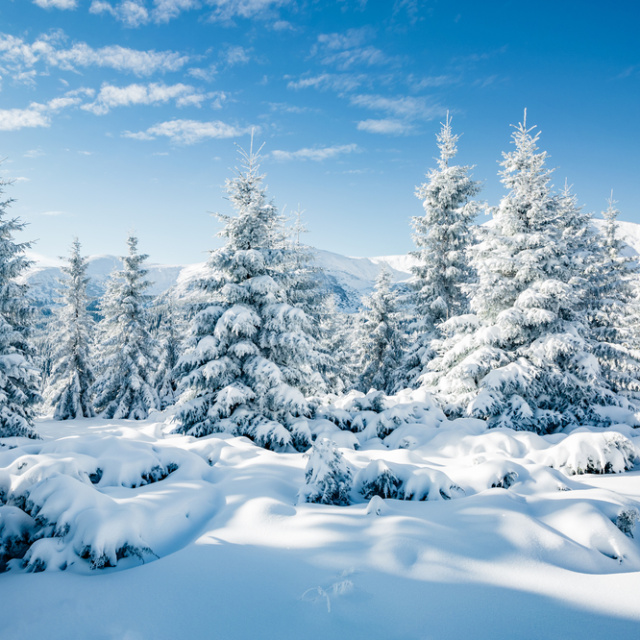 Yılbaşında hava nasıl olacak?