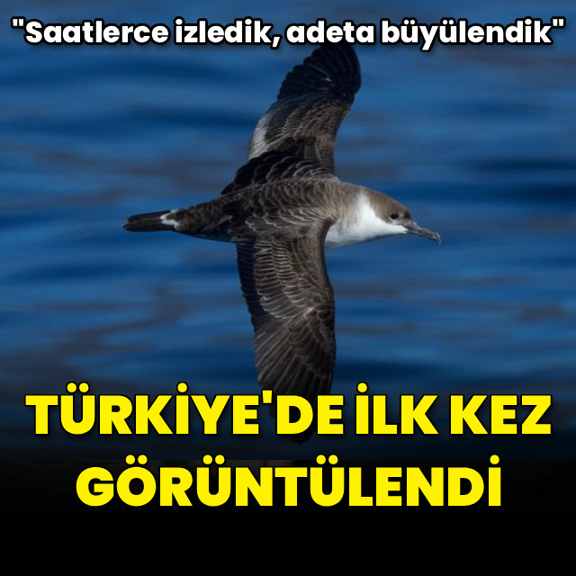 Türkiye’de ilk kez görüntülendi