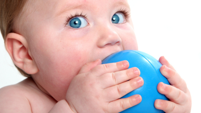 Bebekler neden her şeyi ağzına götürür?