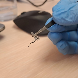 Düşük maliyetli glikoz biyosensörü geliştirildi