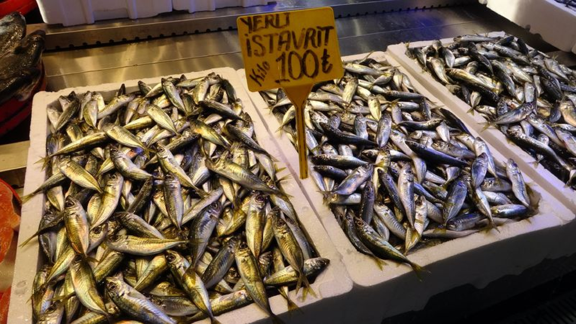 İstavrit hamsiyi tahtından etti: İşte güncel balık fiyatları - Alışveriş Haberleri