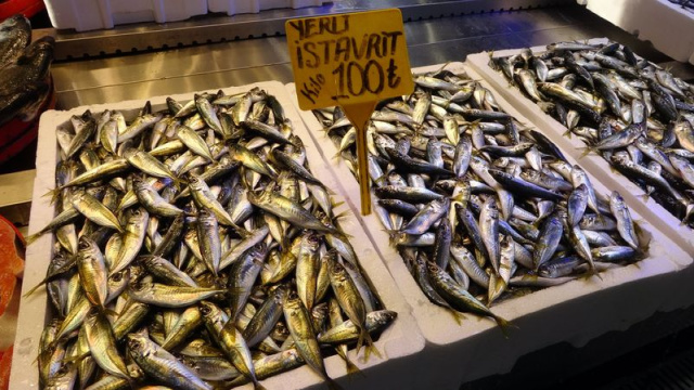 İstavrit hamsiyi tahtından etti