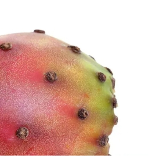 Frenk Yemişi Nasıl Yenir?