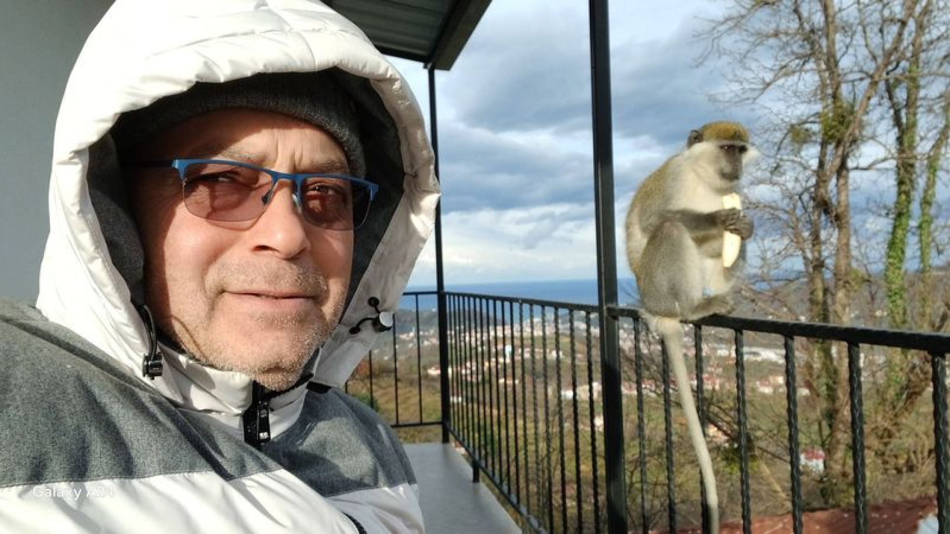 Hayvanat bahçesinden kaçan maymuna balkonunda muz verdi