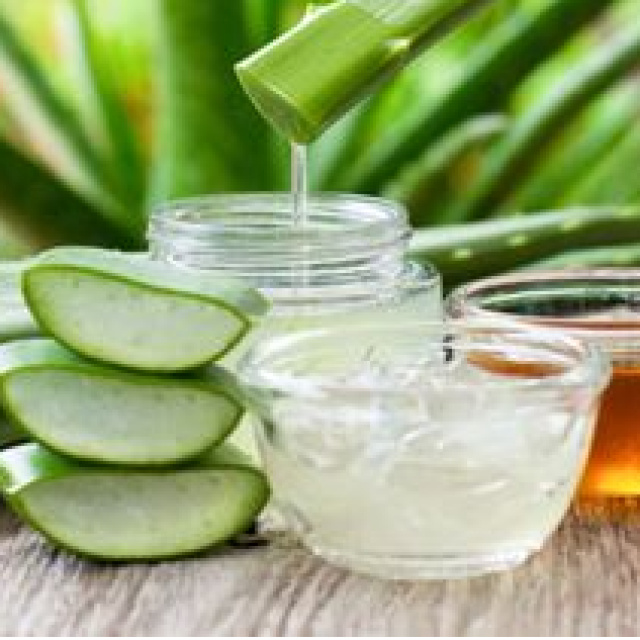 Aloe Vera Nasıl Yenir?