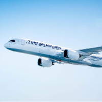 THY, 61 seferini iptal etti