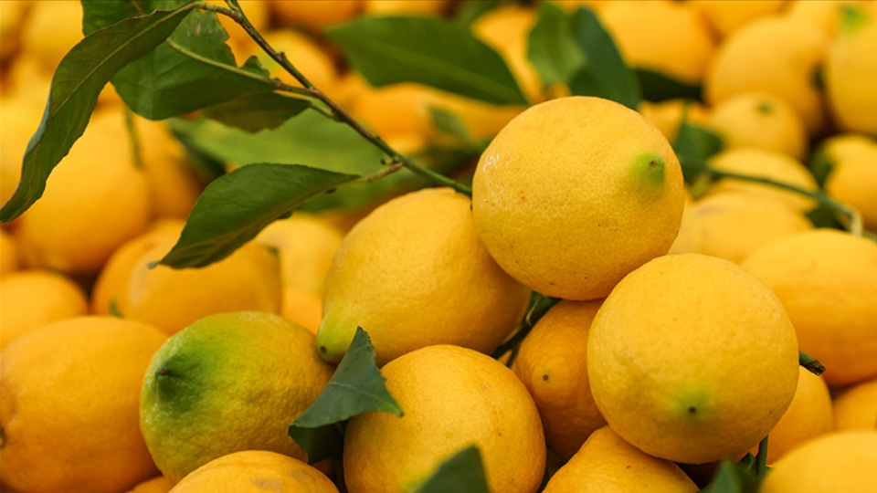 2025'te en çok limonun fiyatı yükseldi