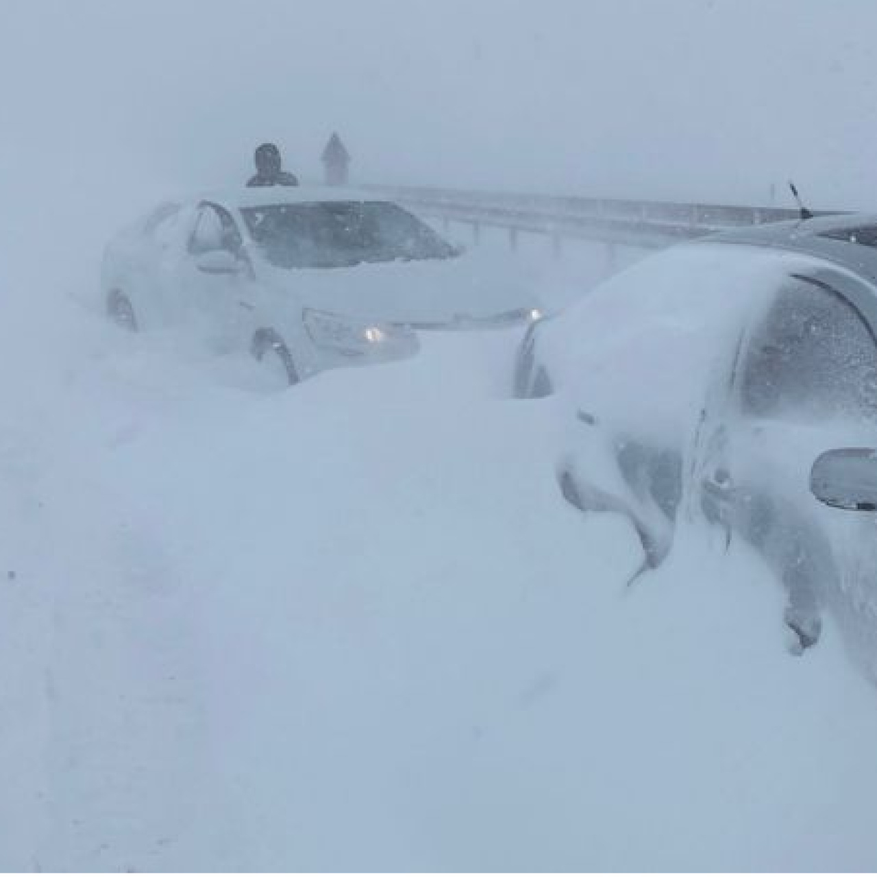 Göz gözü görmüyor! Sivas-Kayseri yolu kapandı!