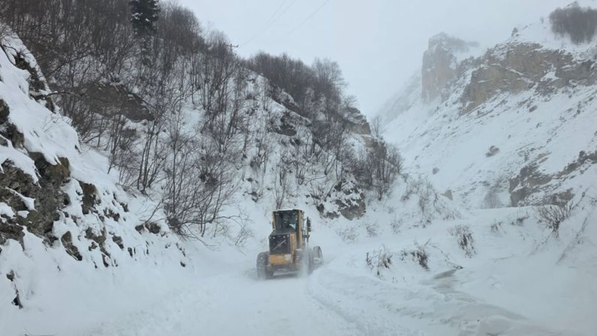 Artvin'de Çığ Felaketi: Çobanlar Çığ Altında Kalmış Olabilir