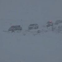 Artvin'de çığ! 3 çoban aranıyor!