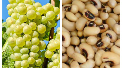 Yeni yılda bolluk için börülce, şans için üzüm yiyin