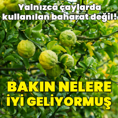 Bergamot bakın nelere iyi geliyormuş!