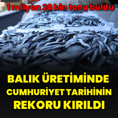Türkiye balık üretiminde rekor kırdı