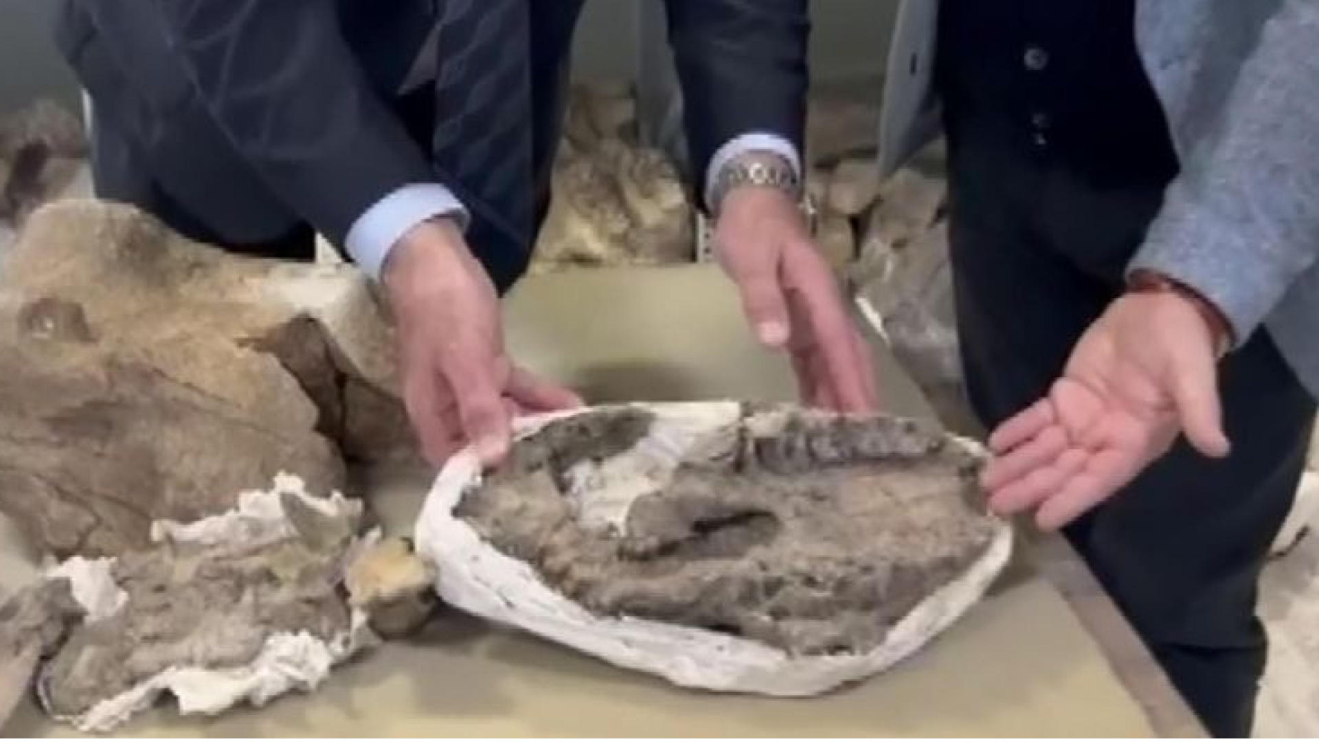 Tuzluca’da bulunan 30 milyon yıllık dev gergedan fosili, MTA Tabiat Tarihi Müzesi’nde