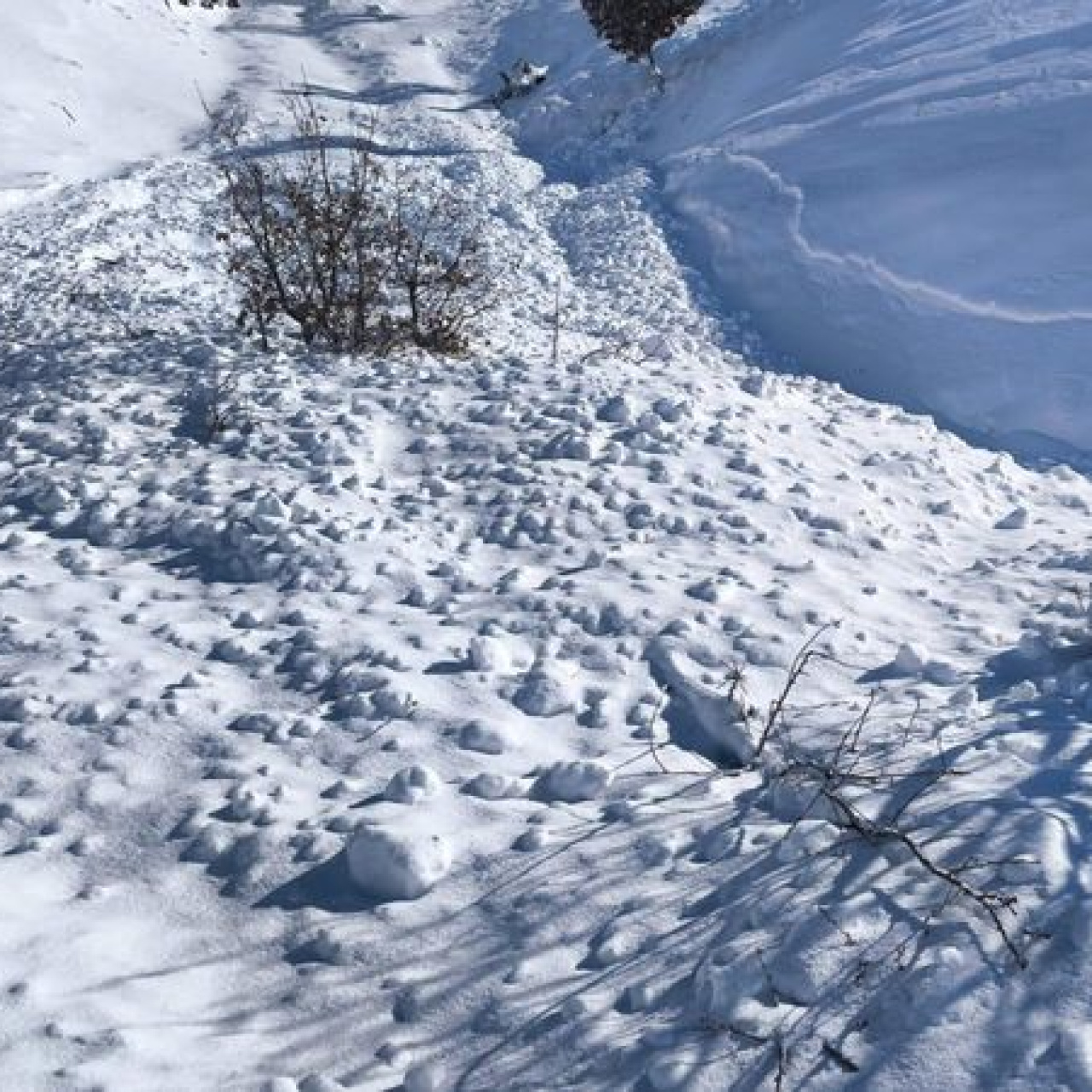 Ahıra çığ düştü! 44 hayvan öldü!