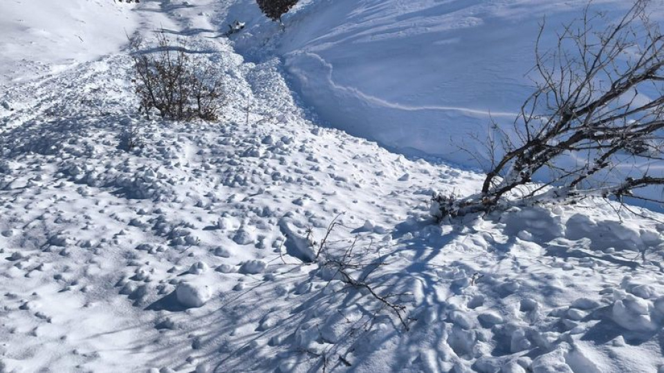 Ahıra çığ düştü! 44 hayvan öldü!