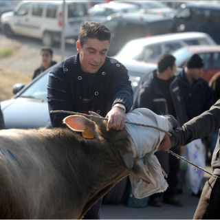 Kurban Bayramı ne zaman?