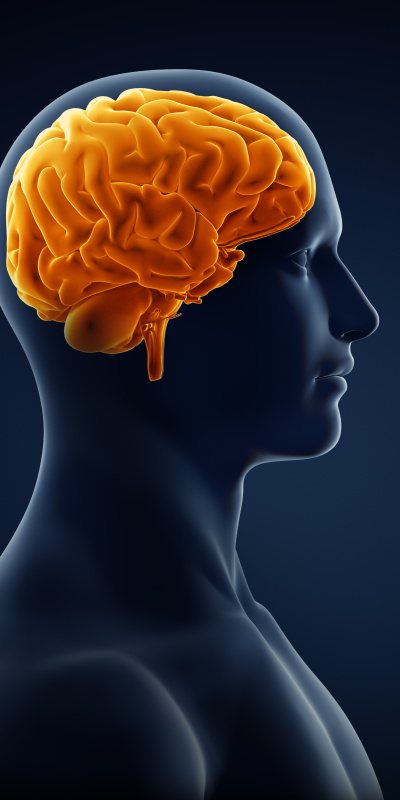 Yetersiz uyku ve işlenmiş gıda beyne zarar veriyor