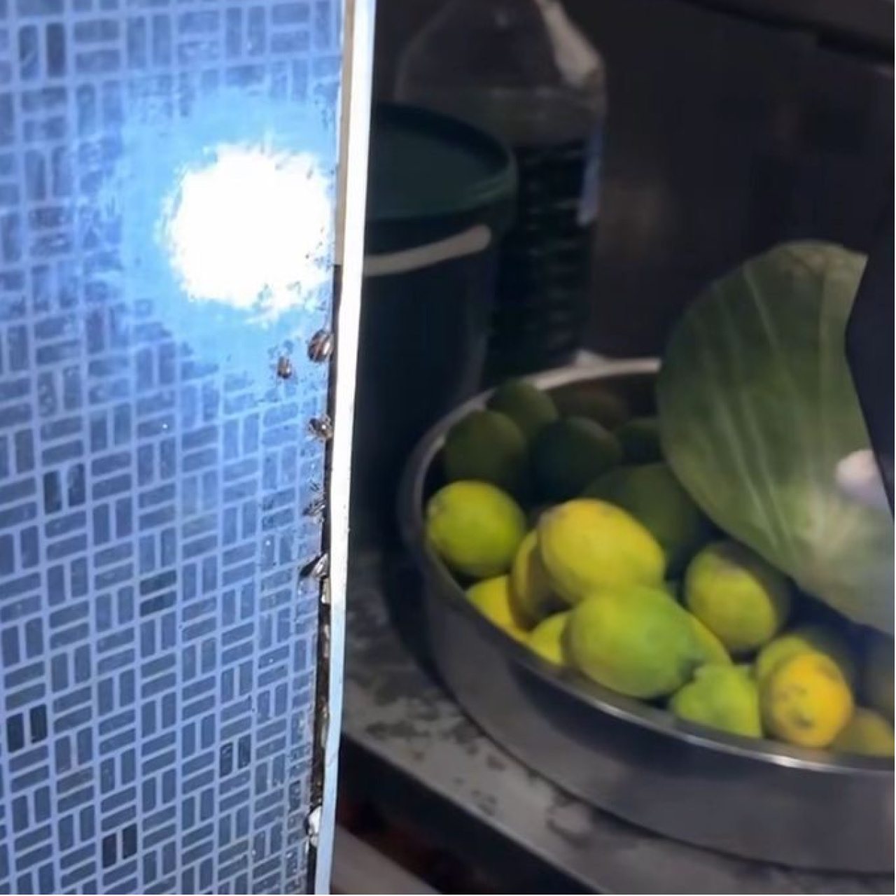 Restoranda mide bulandıran görüntü!