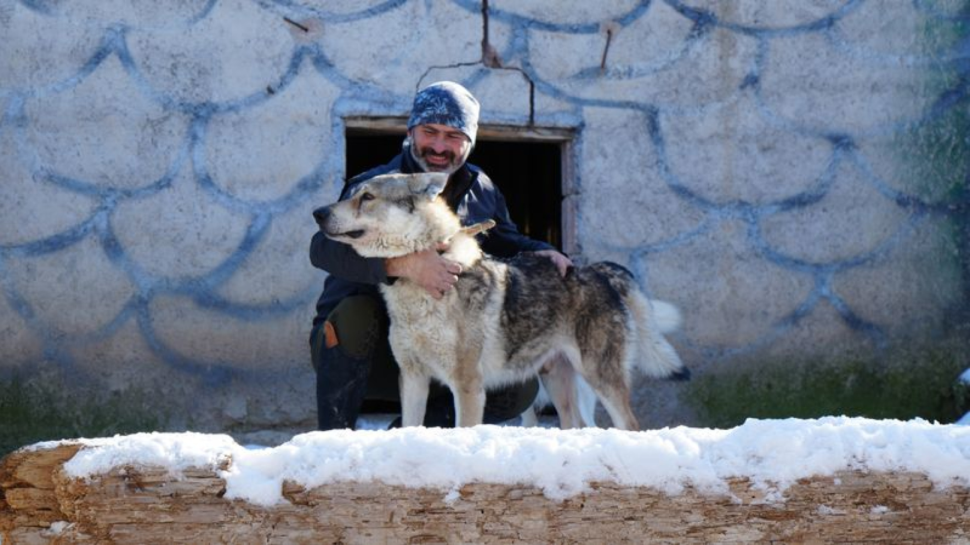 Ankara'da sıra dışı yaşam: Onlarca hayvanla ortak hayat kurdu
