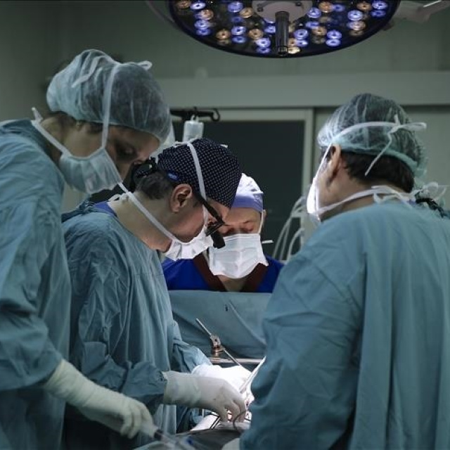 Türkiye’de 2025'te 5 bin 95 organ nakli yapıldı