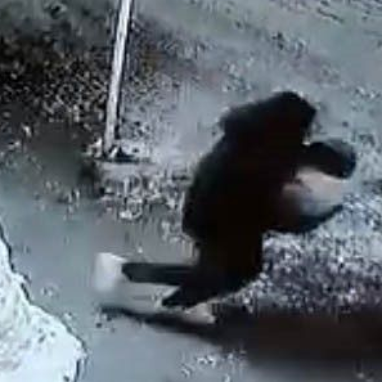 Kardan adamın kafasını çaldılar